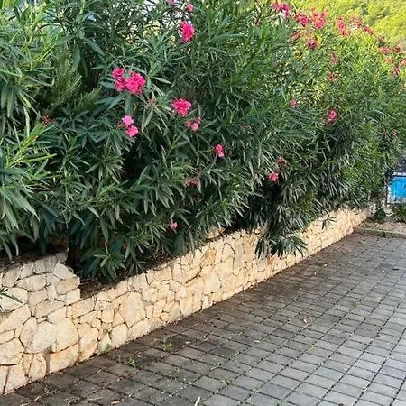 Salena With Pool Slatine