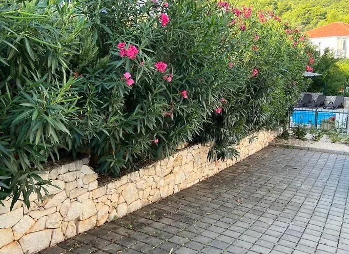 Salena With Pool Slatine
